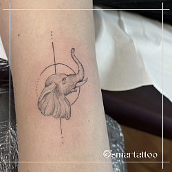 Smartattoo , tatuaggi , tatuaggio , tatuaggi bologna , tatuaggio bologna , fineline , handpoke  , sottili  , crazy , sfumato ,  elefante , an8male , animal , natura , potenza