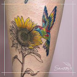 Smartattoo , tatuaggi , tatuaggio , tatuaggi bologna , tatuaggio bologna , fineline , handpoke  , sottili  , crazy , sfumato ,  bird , colibrì , passione , color , colore , animals